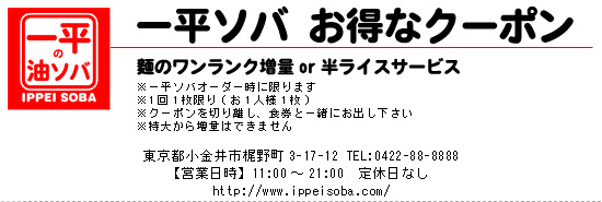 �ꕽ�\�o �����ȃN�[�|��